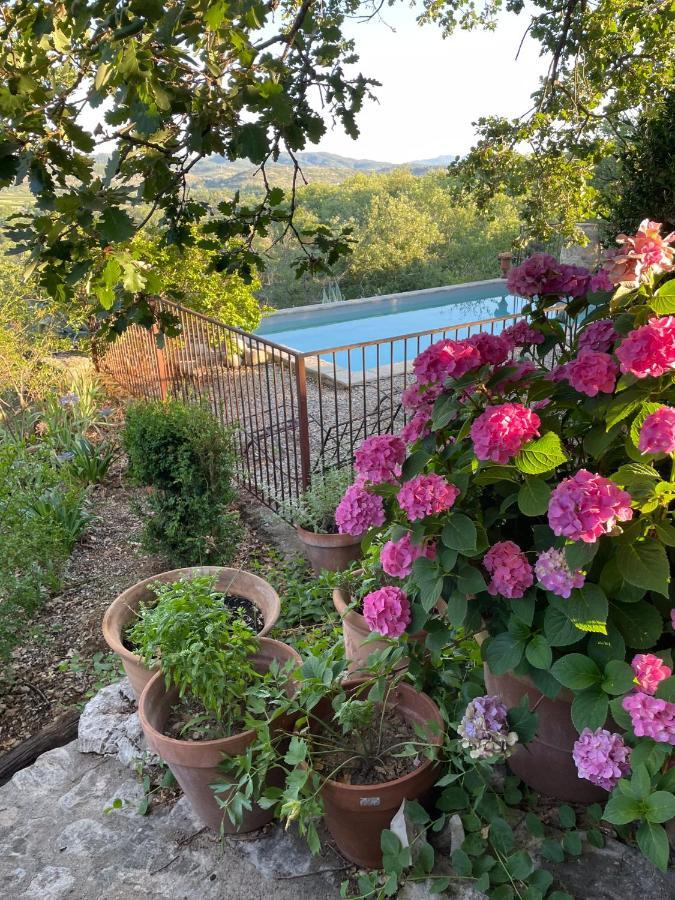 Le Petit Mas Bed & Breakfast Вогюе Екстериор снимка
