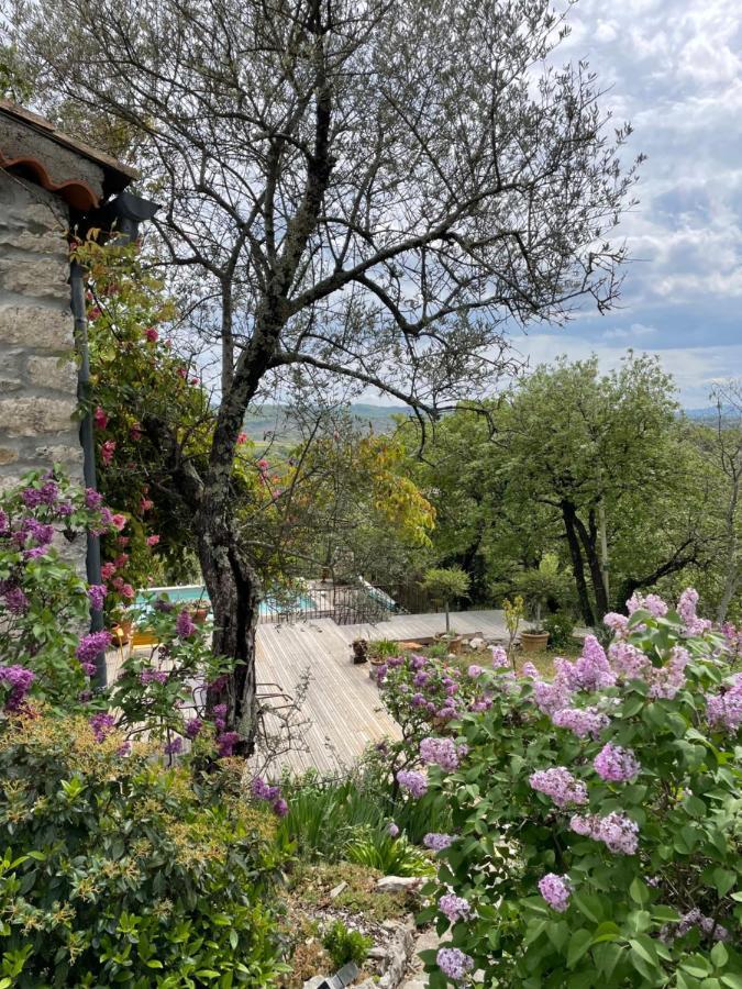 Le Petit Mas Bed & Breakfast Вогюе Екстериор снимка